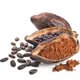 بذر درخت کاکائو