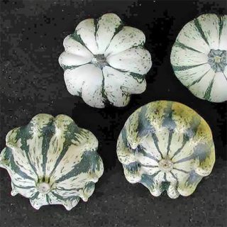 کدو ستاره‌ای ابلق ارگانیک