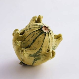 بذر کدو ستاره‌ای ابلق