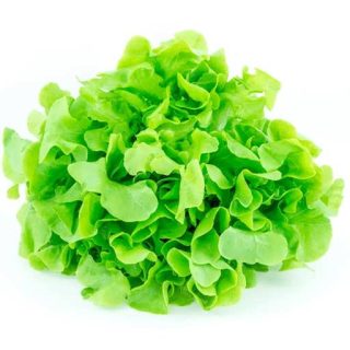 بذر کاهو سالاد بول سبز