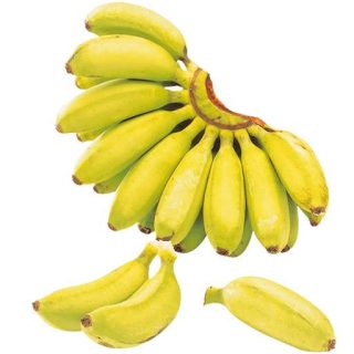بذر موز هاردی
