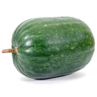 بذر کدو تنبل چارلیستون ببری