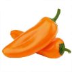 بذر فلفل کاپی مینی نارنجی