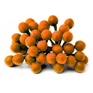 بادمجان نخودی نارنجی