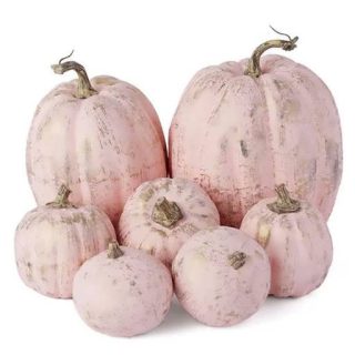 بذر کدو تنبل عروسک سفالی صورتی