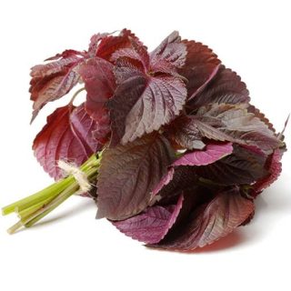 بذر نعنا شیسو ارغوانی