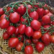 گوجه گیلاسی خوشه‌ای ریز خوشمزه