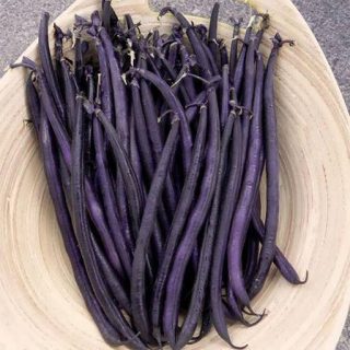 لوبیا بنفش ولور