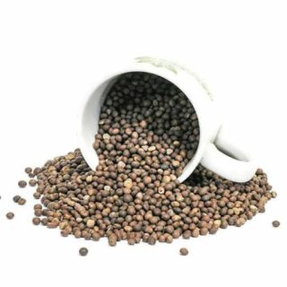 بذر گاودانه