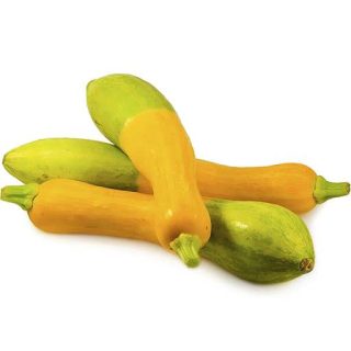 بذر کدو دو رنگ