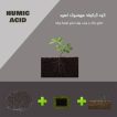 کود گرانوله هیومیک اسید