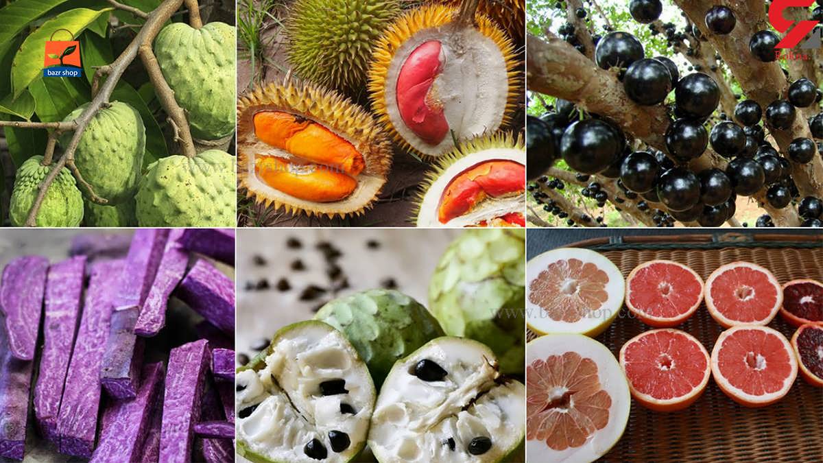 میوه های عجیب و شگفت انگیز