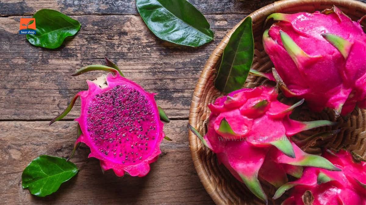 میوه اژدها چیست