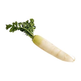 بذر ترب خمپاره ای