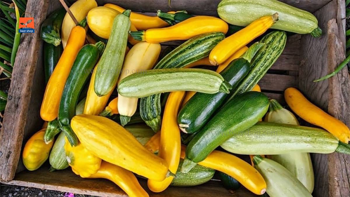 کدو سبز و زرد