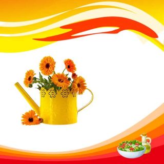 بذر گل همیشه بهار خوراکی