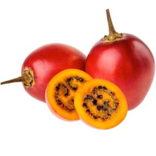 بذرتاماریلو قرمز