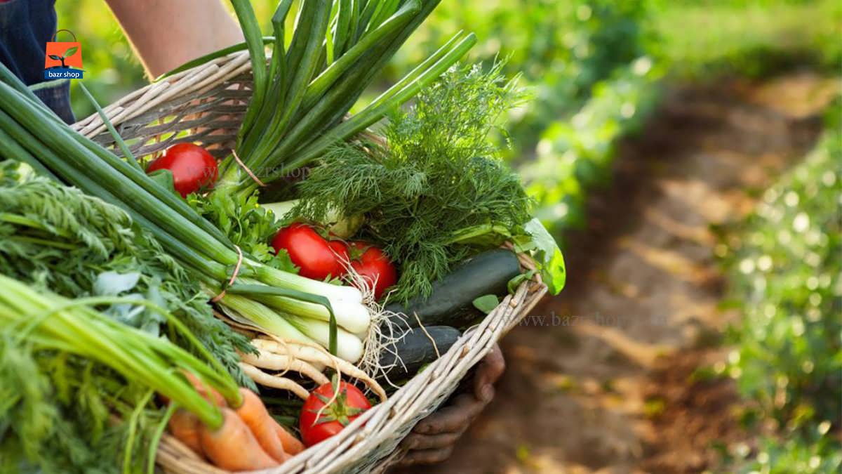 سبزیجات رسیده در سبد