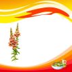 بذر گل میمون خوراکی