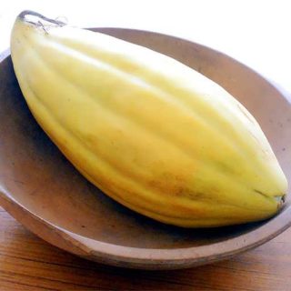 طالبی موزی