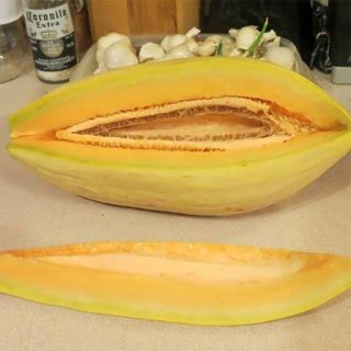 دو تیکه برش خورده طالبی موزی