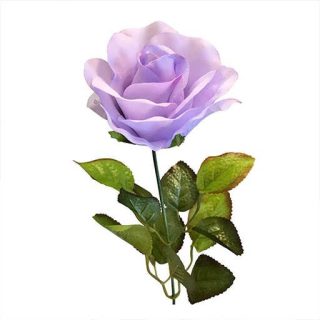 گل رز یاسی