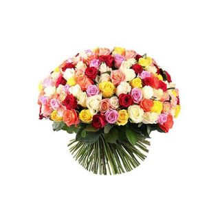 گل رز میکس