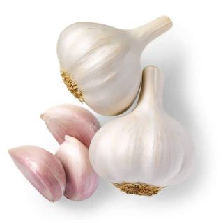 ریزوم سیر از بالا