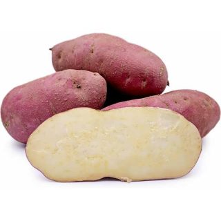 ریزوم سیب زمینی موراساکی برش خورده