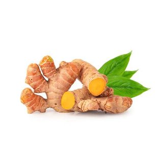 ریزوم زرد چوبه