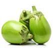 بادمجان سبز آفریقایی