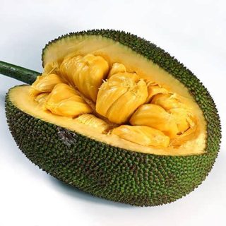 یک عدد میوه جک فروت