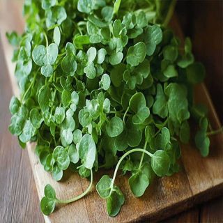 سبزی آب تره (بولاغ اوتی) روی تخته چوبی