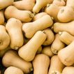 کدو حلوایی (کدو رشتی) از روبرو