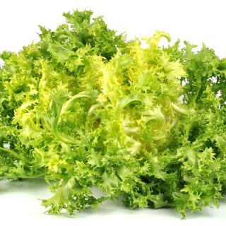 کاهو پیچ فردوس