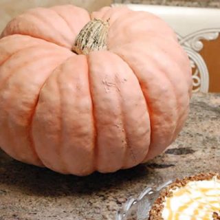 کدو تنبل عروسکی چینی