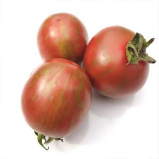 بذر گوجه فرنگی شرابی بوته ای پس زمینه