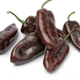 بذر فلفل پاپریکا شکلاتی