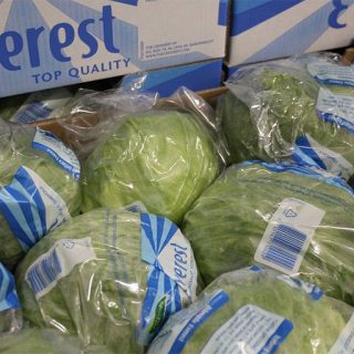 کاهو پیچ اورست