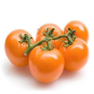 بذر گوجه فرنگی غول پیکر پرتغالی درختی پس زمینه