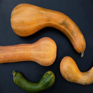 بذر کدو تنبل قلمی از روبرو