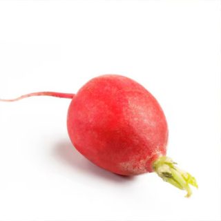 بذر تربچه نقلی