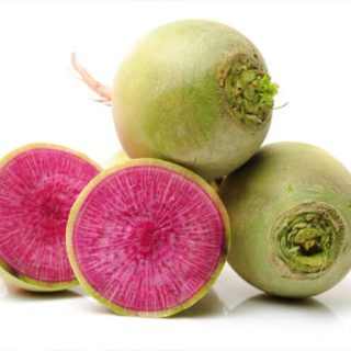 ترب هندوانه ای پس زمینه