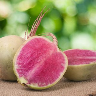 ترب هندوانه ای زیبا