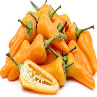 بذر فلفل زرد فرزنو (فلفل کریمسون زرد) پس زمینه